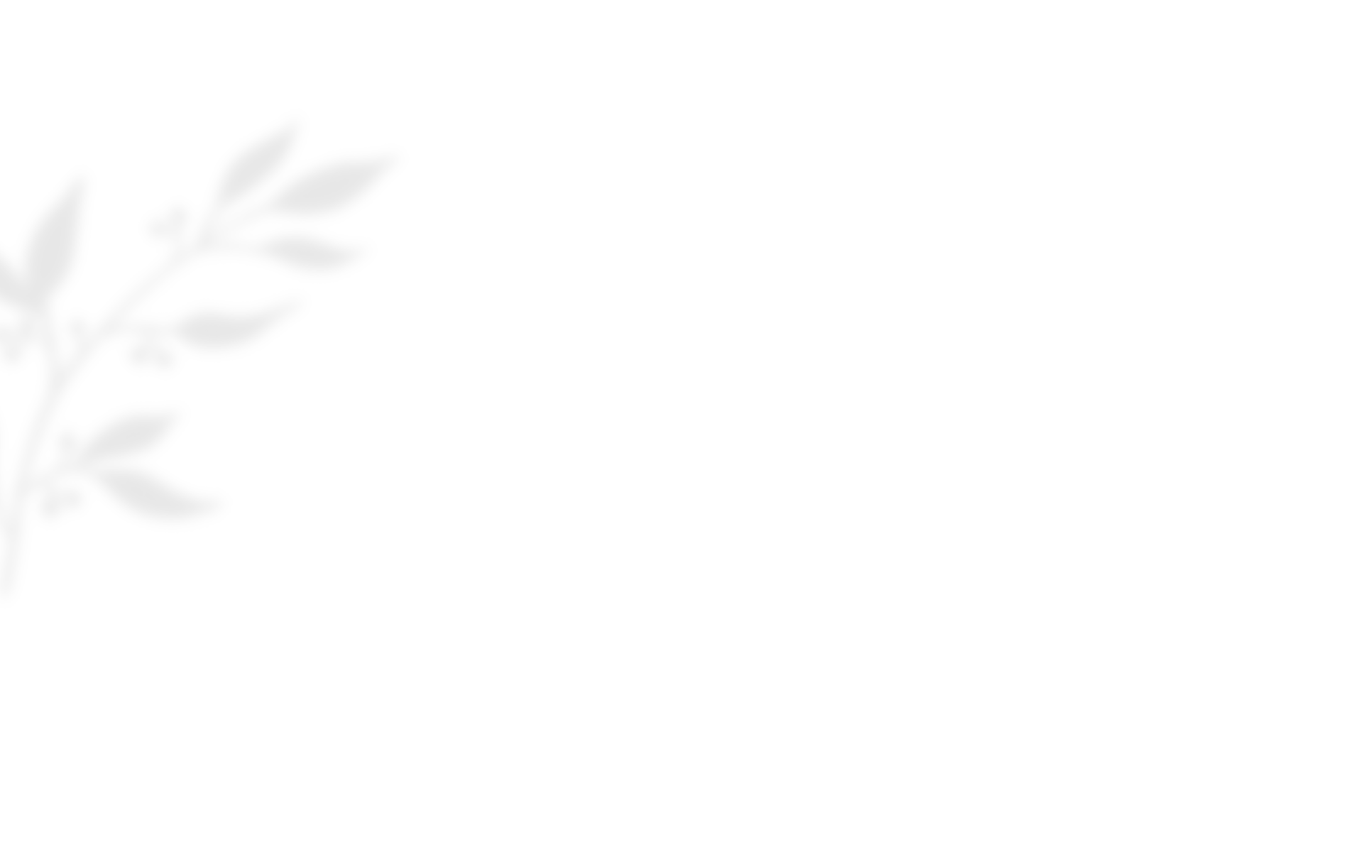 shadow_leaves_03 https://stavrina-kostis.gr/wp-content/uploads/2020/10/shadow_leaves_03.png