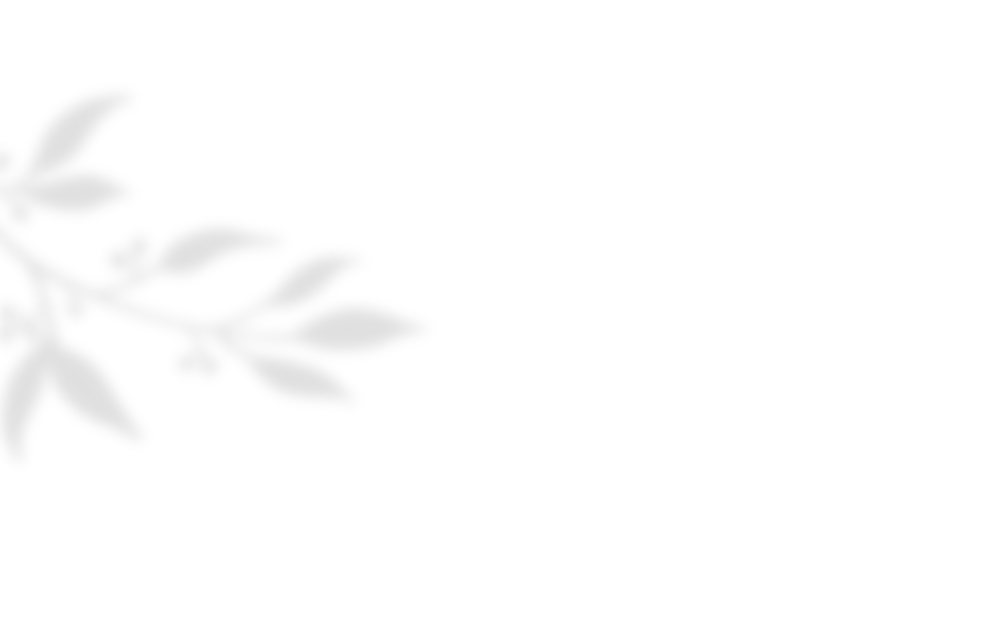 shadow_leaves_04 https://stavrina-kostis.gr/wp-content/uploads/2020/10/shadow_leaves_04.png