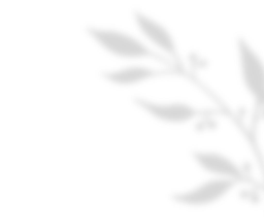 shadow_leaves_01 https://stavrina-kostis.gr/wp-content/uploads/2020/11/shadow_leaves_01.png